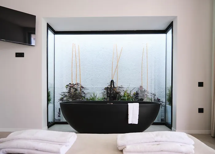 Ashta / Color Block פאטהיה