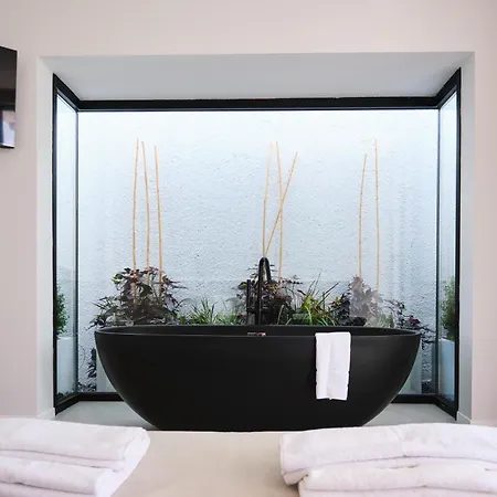 Ashta / Color Block فتحية